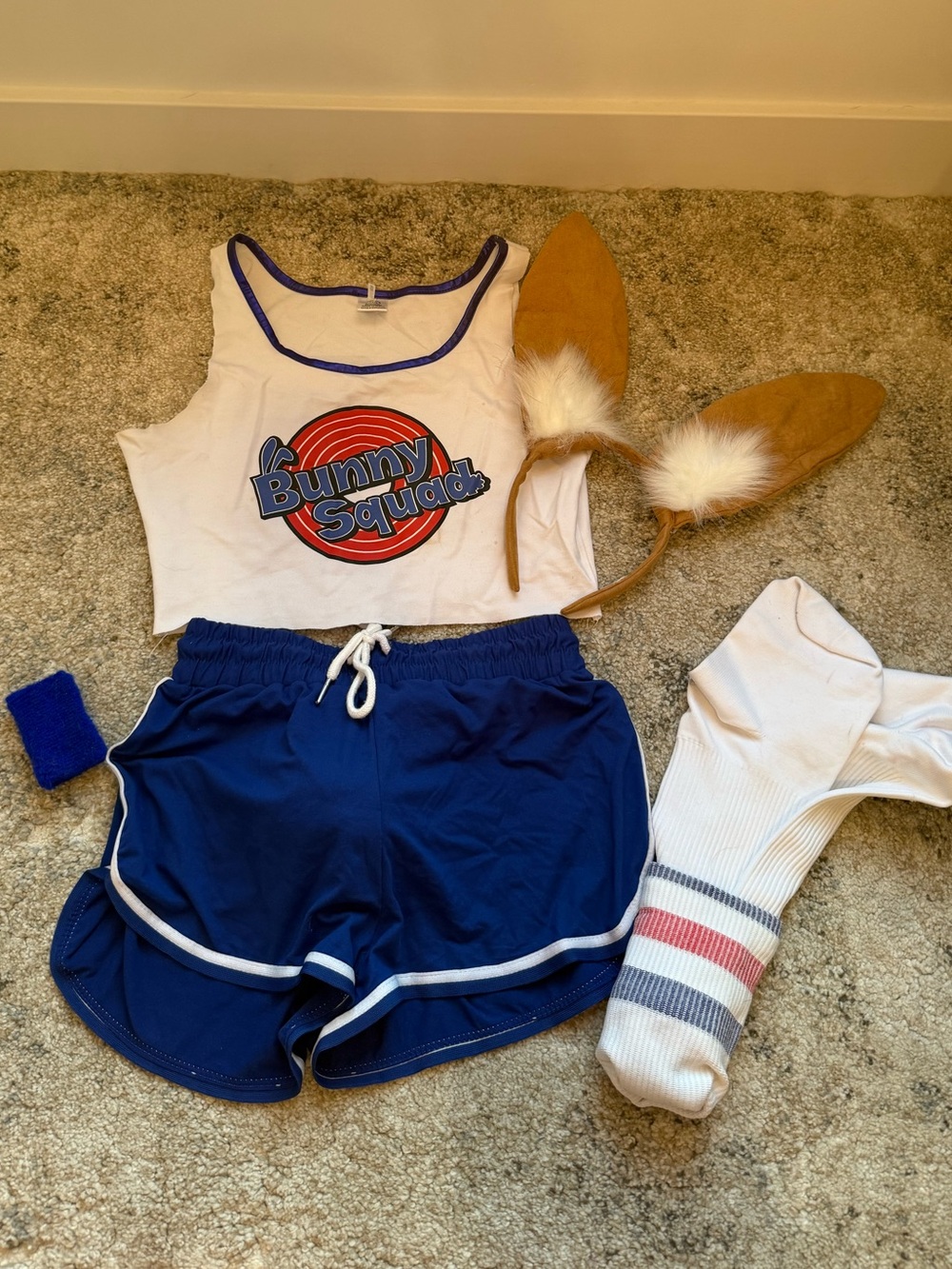 Lola bunny costume set